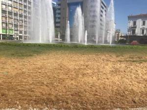 Ο Μπακογιάννης, το πείραμα του «μεγάλου περίπατου» και η κάμπια της Ομόνοιας