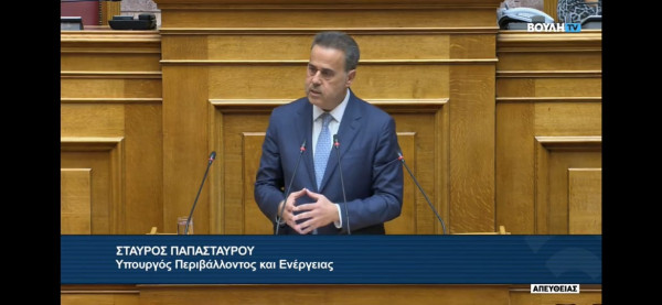 Παπασταύρου: Περιβαλλοντικά οφέλη και διατήρηση της ανταγωνιστικότητας μέσω της βιομηχανίας μεταφοράς και αποθήκευσης διοξειδίου του άνθρακα