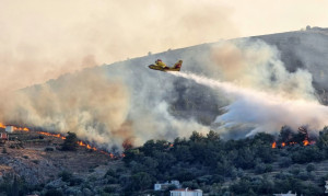 Χίος: Μία σύλληψη για εμπρησμό από αμέλεια στα Λεπτόποδα