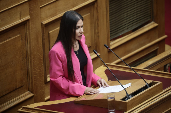 «Καμπανάκι» για τους μελισσοκόμους: Άμεση ενίσχυση ζητά η Βατσινά