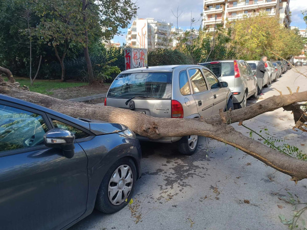 Πτώσεις δέντρων στη Θεσσαλονίκη λόγω κακοκαιρίας