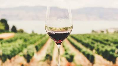 Οινικός κλάδος: Υπερχειλίζουν με κρασί οι δεξαμενές και τα βαρέλια