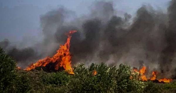 Συνολικά 48 δασικές πυρκαγιές το τελευταίο 24ωρο