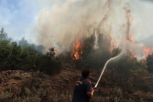 Φωτιά στην περιφερειακή Αιγάλεω - Συνελήφθη ο εμπρηστής