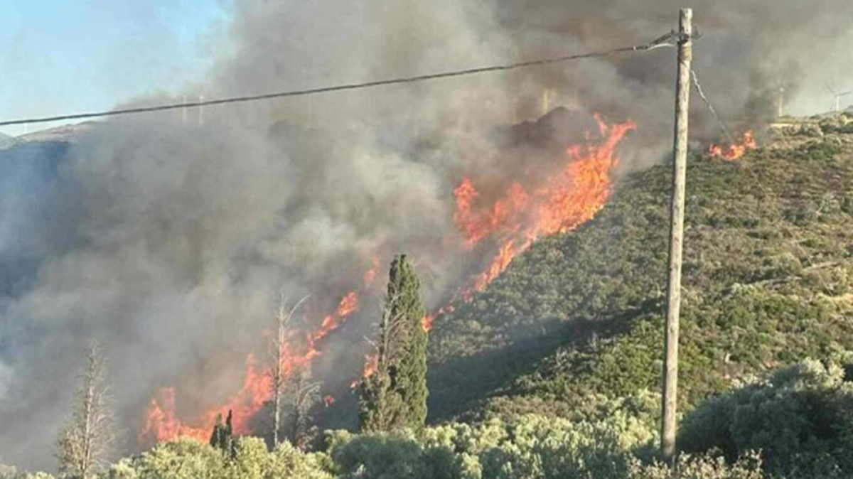 Φωτιά στην Εύβοια: Ήχησε το 112 – Στις αυλές των σπιτιών οι φλόγες