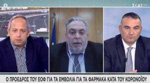 Πρόεδρος ΕΟΦ για εμβολιασμό: Πότε θα αποκτήσουμε ανοσία στην Ελλάδα
