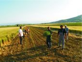 Η έρευνα στην υπηρεσία της αγροτικής οικονομίας-Απόφαση για νέες συμπράξεις