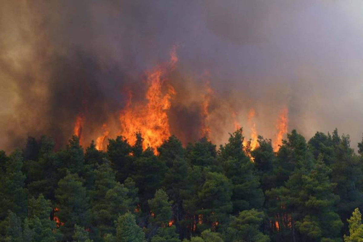 Βοιωτία: Προφυλακίστηκε ο δήμαρχος Στυλίδας και ακόμη δύο άτομα για τη μεγάλη φωτιά
