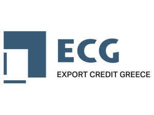 Η Έφη Δελή νέα Διευθύνουσα Σύμβουλος της Export Credit Greece