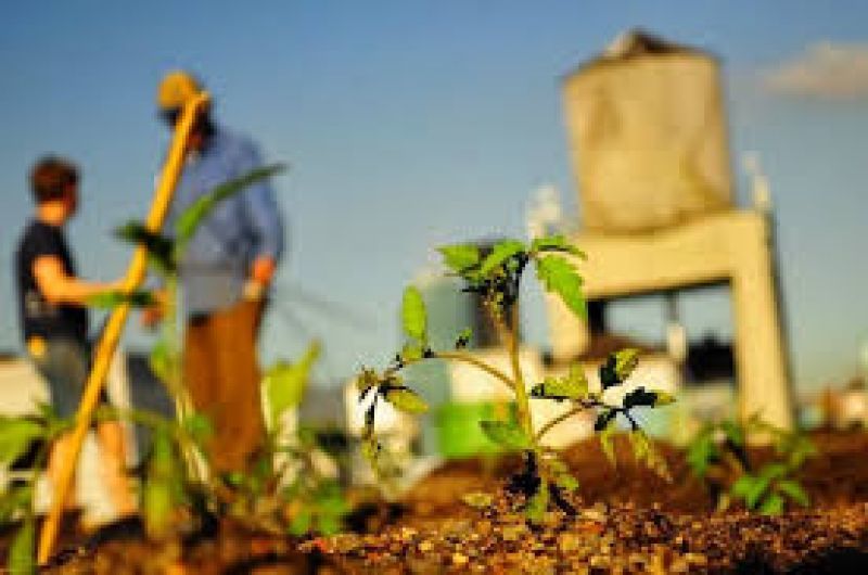Εστίαση: Food scouters και σύνδεση με την αγροτική παραγωγή το κλειδί για την επιτυχία