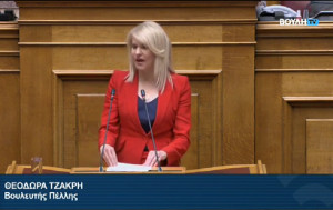 Τζάκρη: Πλασματικός προϋπολογισμός λιτότητας και καταστροφής