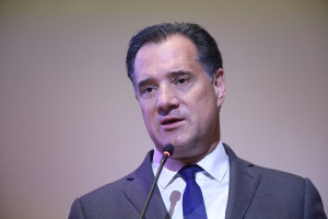 Γεωργιάδης: Η Ελλάδα από μαύρο πρόβατο έχει γίνει παράδειγμα