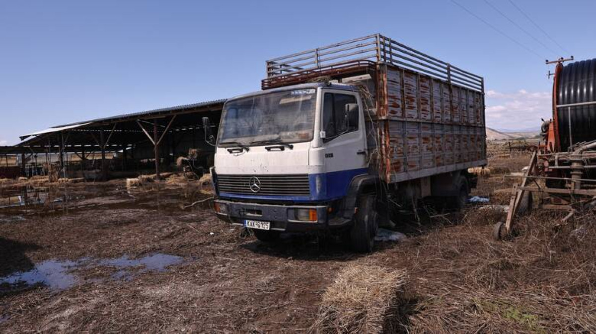 Θεσσαλία: Συμμετοχή και των Ενόπλων Δυνάμεων στην περισυλλογή νεκρών ζώων