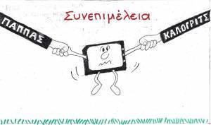 Συνεπιμέλεια