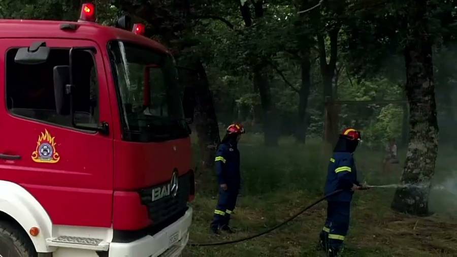 Πυρκαγιά στη Δρυάλια Λακωνίας-Εκτός κινδύνου κατοικίες