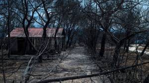 Μάτι: Απολογείται ο δήμαρχος Ραφήνας-Πικερμίου
