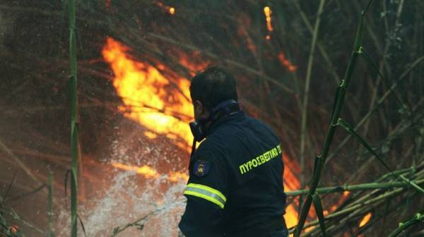 Πυρκαγιές εκδηλώθηκαν σε Αρτέμιδα, Βοιωτία, Άρτα