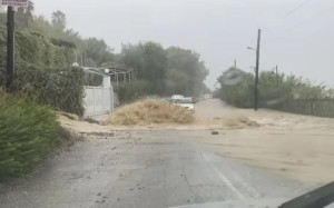 Έντονα καιρικά φαινόμενα στην Κέρκυρα: Ξεριζώθηκε δέντρο και κατέρρευσε τοιχίο, πλημμύρες στους δρόμους