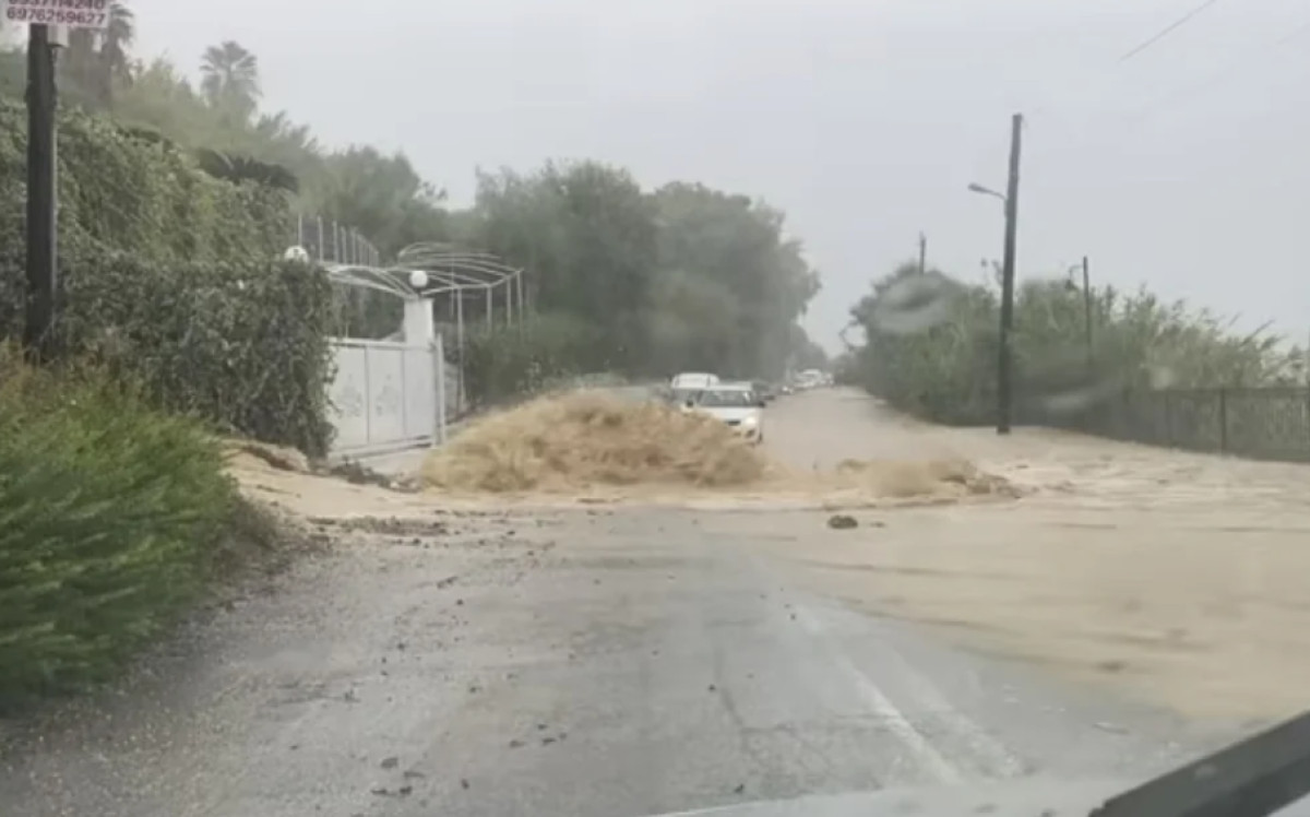 Έντονα καιρικά φαινόμενα στην Κέρκυρα: Ξεριζώθηκε δέντρο και κατέρρευσε τοιχίο, πλημμύρες στους δρόμους
