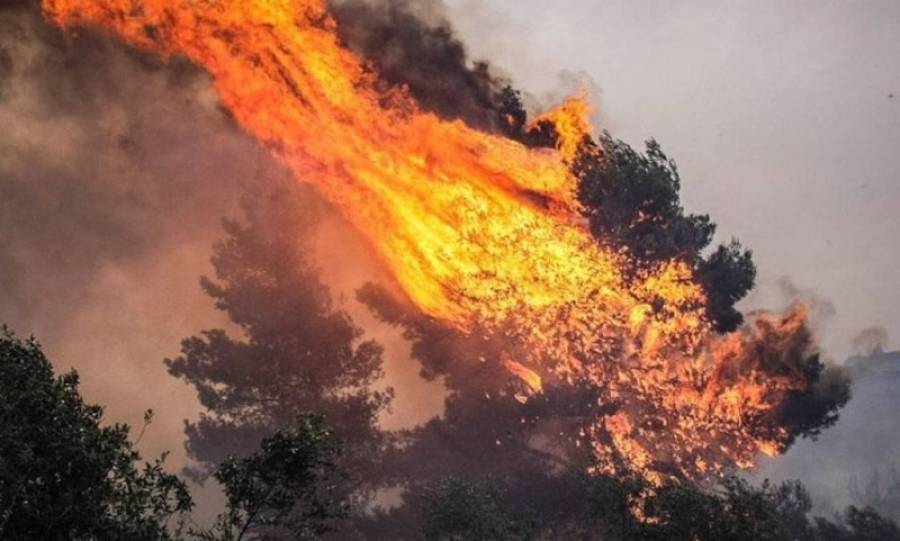 Πυρκαγιά σε δασική έκταση της Κέρκυρας