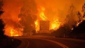 Πορτογαλία: 91 συλλήψεις για εμπρησμούς το 2017
