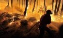 Πορτογαλία: Τραγικός απολογισμός από τις πυρκαγιές-Στους 45 οι νεκροί