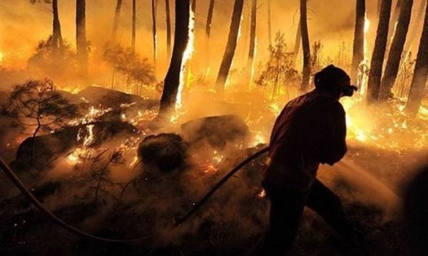 Πορτογαλία: Τραγικός απολογισμός από τις πυρκαγιές-Στους 45 οι νεκροί