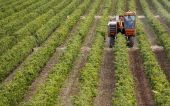 ΠΑΣΕΓΕΣ: Επιπλέον κόστος 283 εκατ. για αγρότες από τον ΦΠΑ