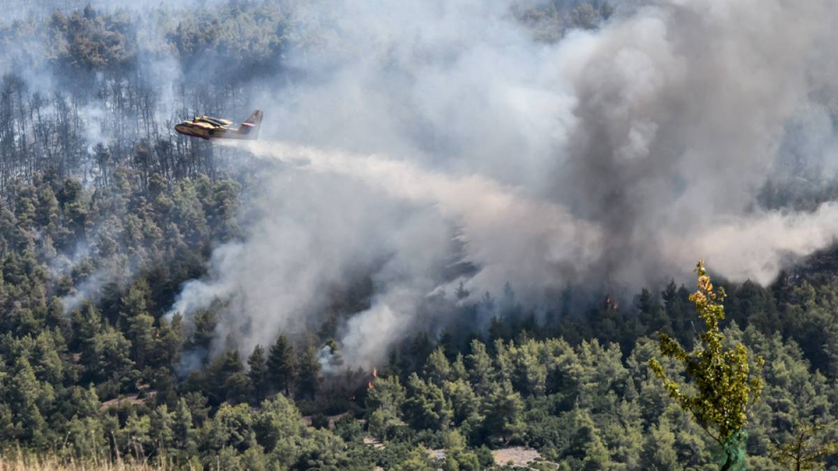 Οριοθετημένη η φωτιά στα Βίλια-41 πυρκαγιές το τελευταίο 24ωρο