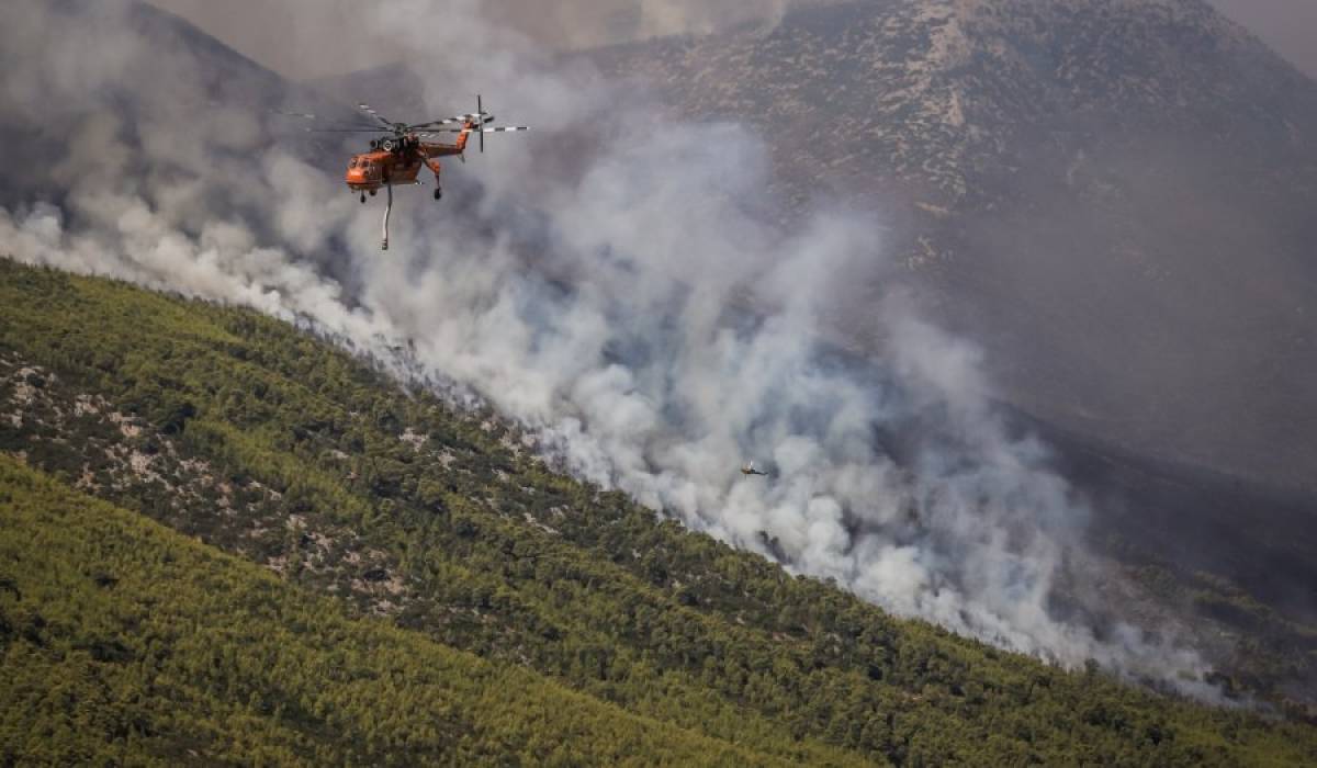 Στάχτη 75.000 στρέμματα στα Βίλια - Φωτογραφία από δορυφόρο