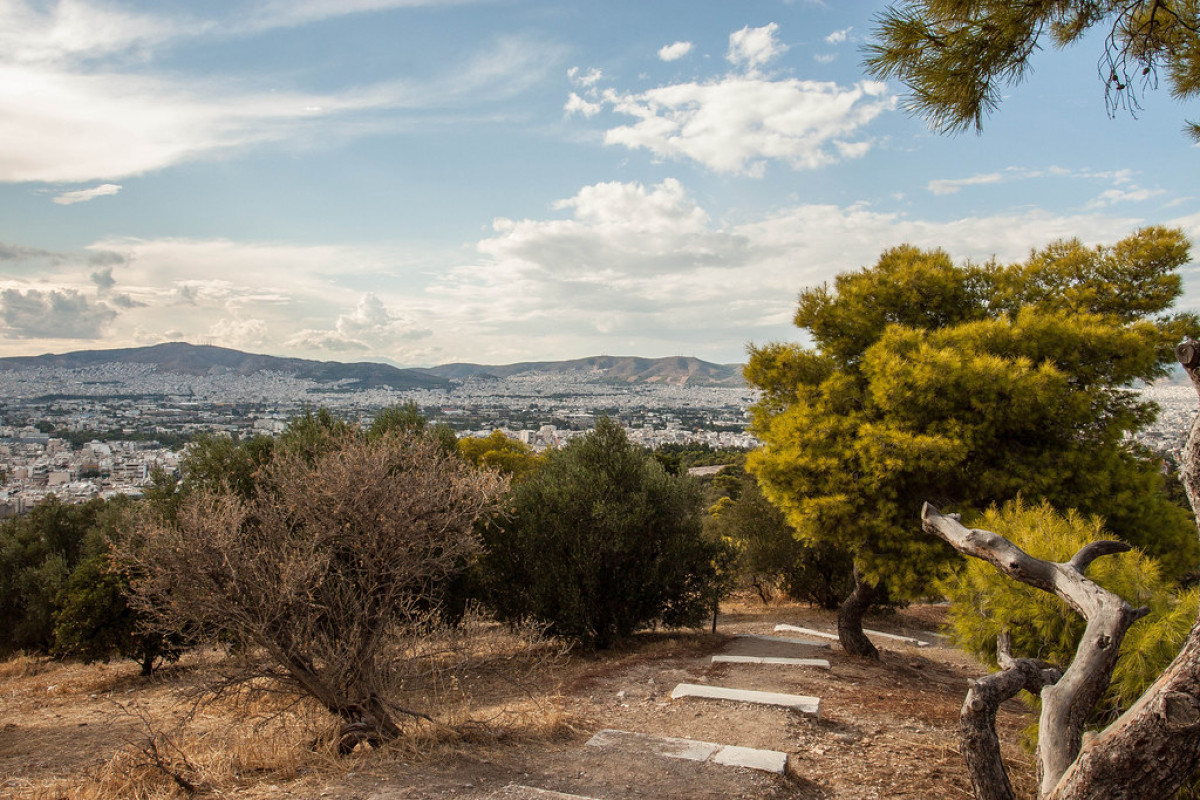 Συναγερμός στου Φιλοπάππου: Άνδρας επιτέθηκε σε πολίτες με ρόπαλο - Δύο τραυματίες
