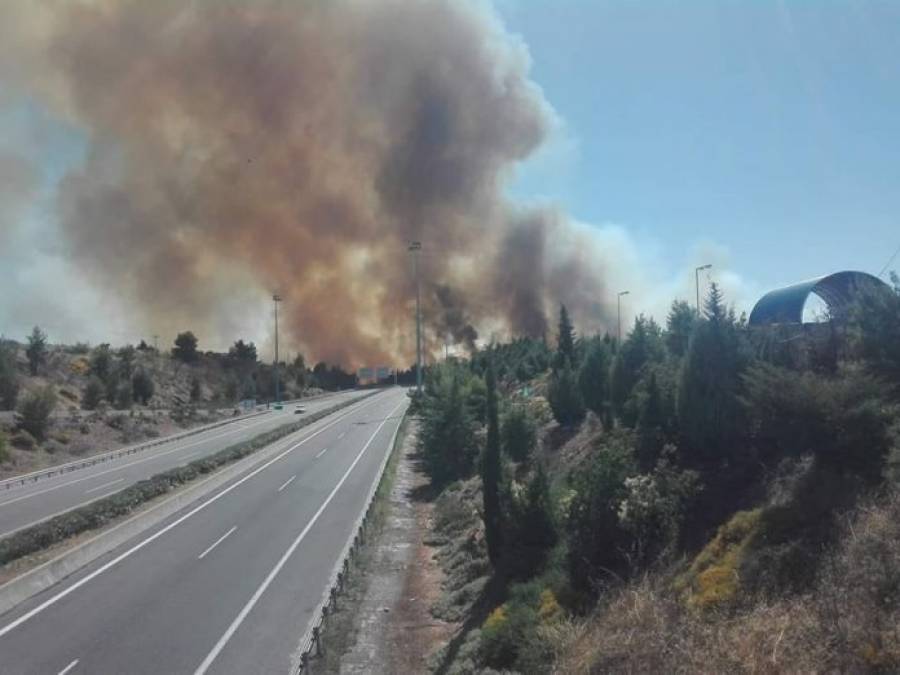 Τέθηκε υπό έλεγχο η φωτιά στο Μαρτίνο