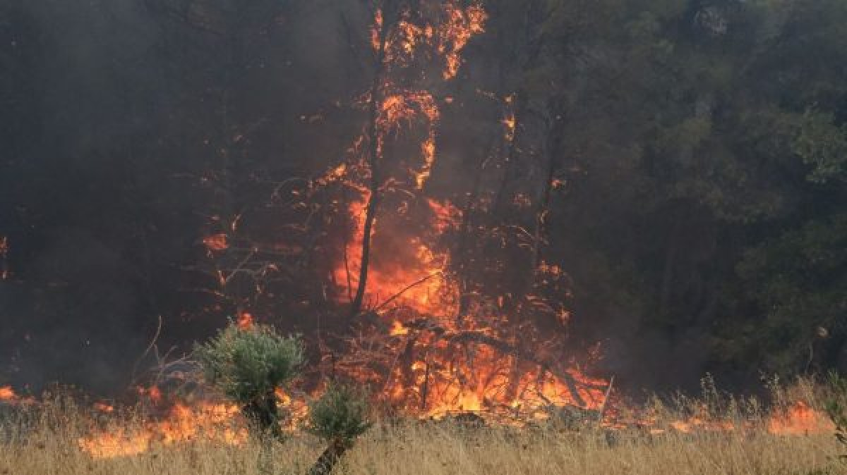 Συνελήφθη 30χρονος που ομολόγησε τρεις εμπρησμούς στη Μεσσηνία