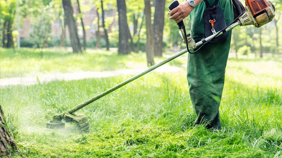 Ξεπέρασαν τις 200.000 οι δηλώσεις καθαρισμού οικοπέδων