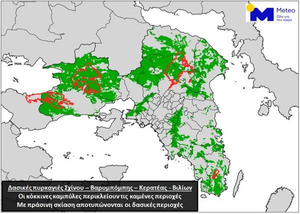 Οι πυρκαγιές στην Αττική έκαψαν το 16% των δασών της