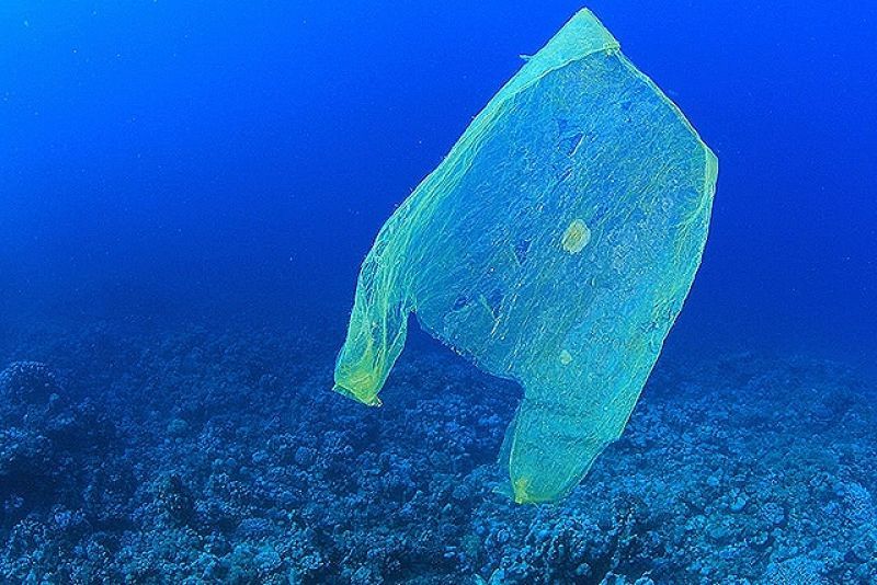 Γιατί ρε παιδιά τόσες πλαστικές σακούλες;