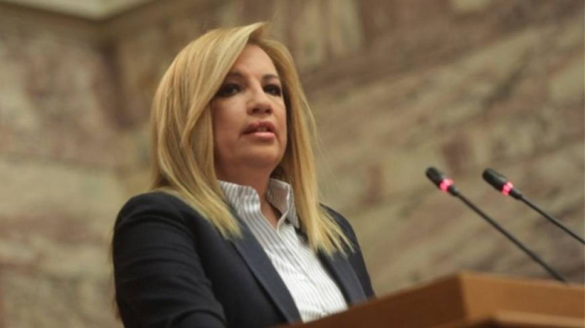 Επερώτηση Γεννηματά στον ΥΠΟΙΚ για το Υπερταμείο
