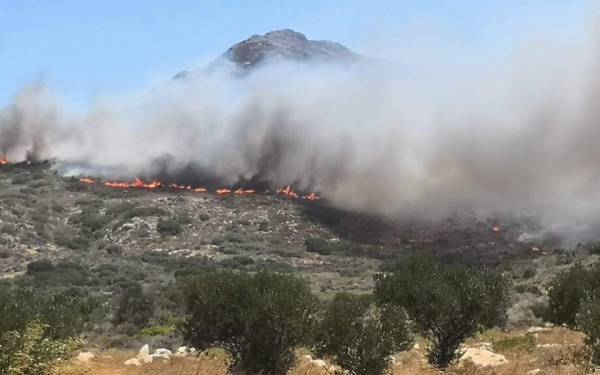 Σε ύφεση το μέτωπο στην Ελαφόνησο- 63 πυρκαγιές στο 24ωρο