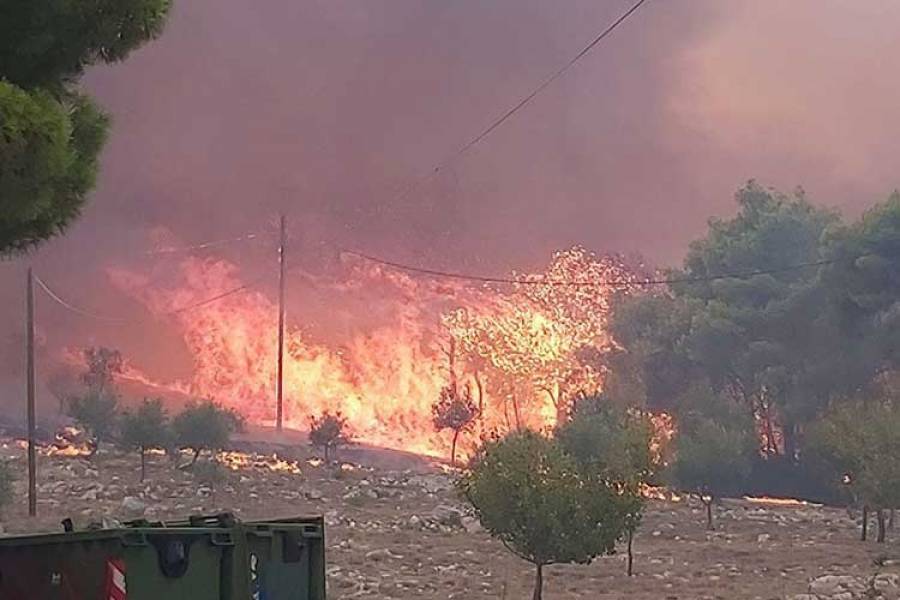 Εκτός ελέγχου η πυρκαγιά στη Ζάκυνθο - Ενισχύονται οι δυνάμεις