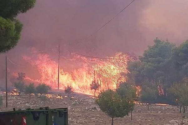 Εκτός ελέγχου η πυρκαγιά στη Ζάκυνθο - Ενισχύονται οι δυνάμεις