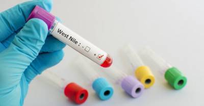 ΠΟΕΔΗΝ: Ανησυχητική η εξάπλωση του ιού του Δυτικού Νείλου