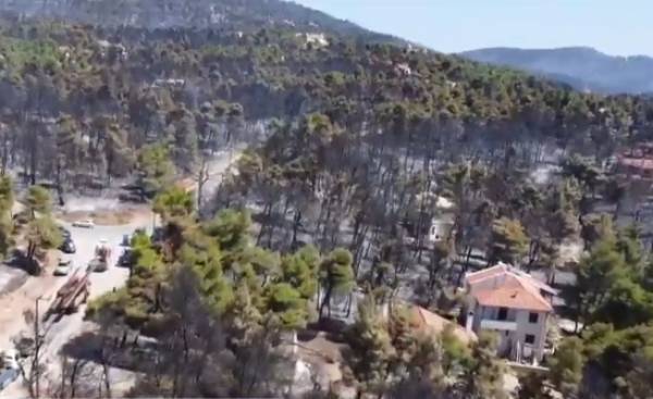 Πώς θα δοθεί γρήγορα το πρώτο κύμα αποζημιώσεων-«Κλειδί» οι υπεύθυνες δηλώσεις