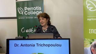 Ολοκληρώθηκαν οι εργασίες του 2ου Διεθνούς Συνεδρίου Ελιάς