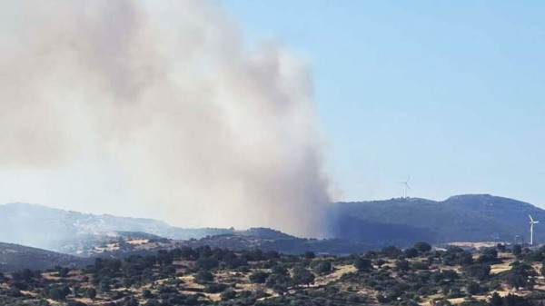 Φωτιά στην Κάρυστο Ευβοίας - Σε εξέλιξη μεγάλη επιχείρηση κατάσβεσης