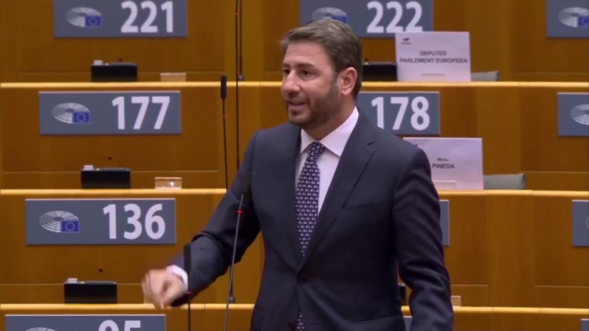Προειδοποίηση Ανδρουλάκη προς το Ευρωκοινοβούλιο με παραλληλισμό Ερντογάν-Πούτιν