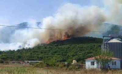 Καβάλα: Πυρκαγιά στους Αντιφιλίππους του Δήμου Παγγαίου