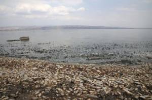 Σύσκεψη την επόμενη εβδομάδα για την αποκατάσταση της λίμνης Κορώνειας