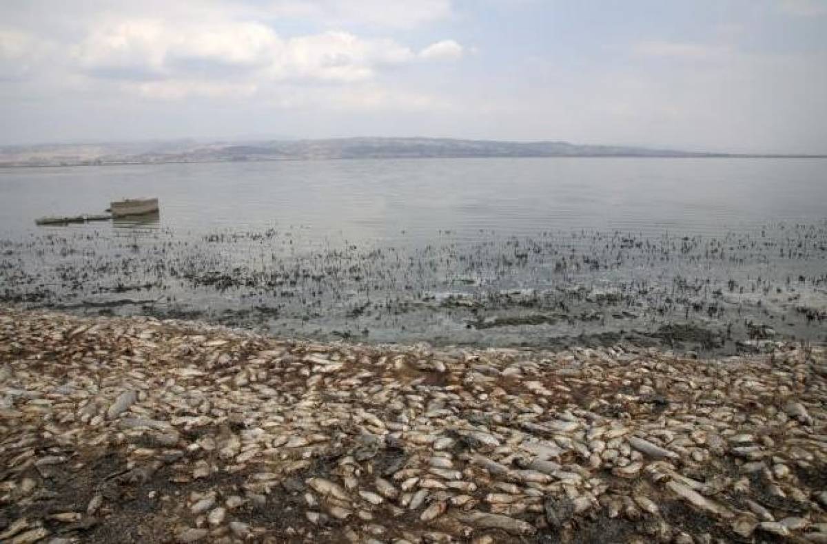 Σύσκεψη την επόμενη εβδομάδα για την αποκατάσταση της λίμνης Κορώνειας