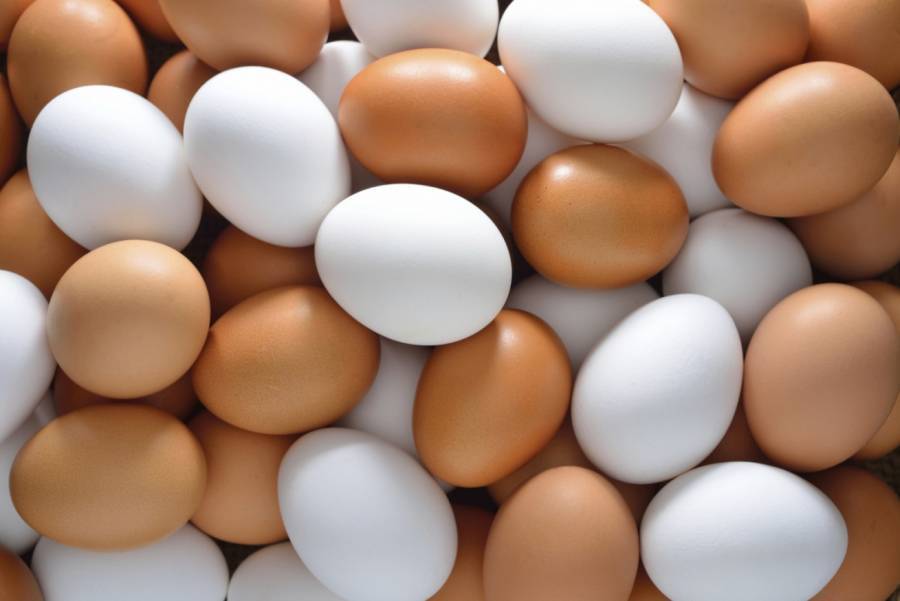 Κομισιόν:Δεν γνωρίζει από πού προέρχονται τα…αυγά στην ελληνική αγορά!