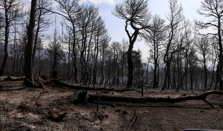 Πυρκαγιές: Πάνω από 130.000 στρέμματα κάηκαν τον Ιούλιο